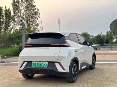 BYD Seagull 2024, 30000 км, за 6716.81 USD