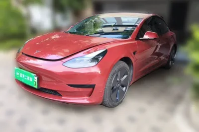 Tesla Model 3 · 2021 год