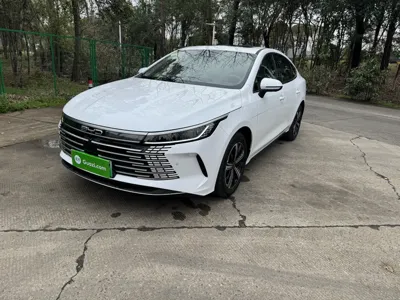BYD Destroyer 05 · 2024 год