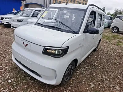 Wuling Zhiguang EV · 2026 год