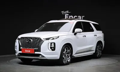 Hyundai Palisade · 2019 год