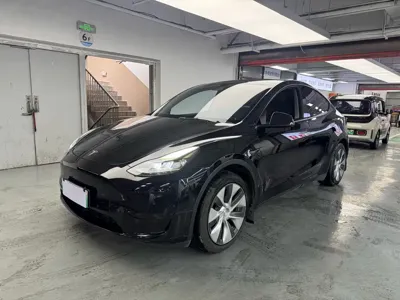 Tesla Model Y · 2022 год
