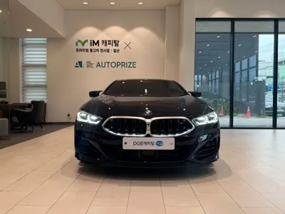 BMW 8-Series 2023, 20173 км, за 52330.48 USD