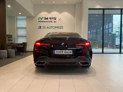 BMW 8-Series 2023, 20173 км, за 52330.48 USD