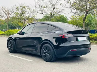 Tesla Model Y 2022, 98000 км, за 23888.49 USD - фото 6