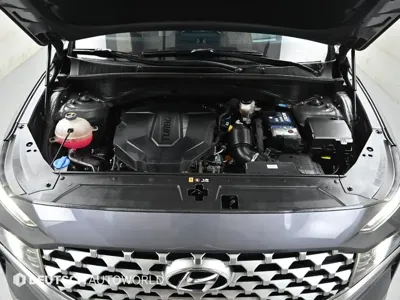 Hyundai Santafe 2021, 111798 км, за 14325.74 USD - фото 6