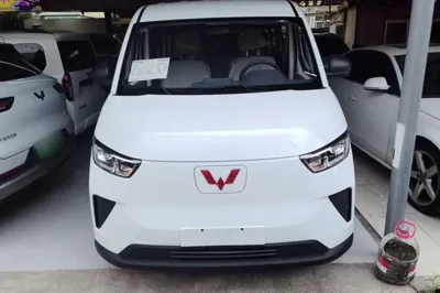 Wuling Yangguang 2026, 100 км, за 14064 USD