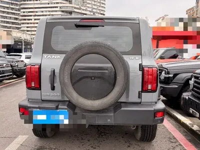 Tank Tank 300 2022, 40000 км, за 19005.62 USD