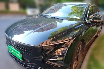Wuling Xingguang · 2024 год