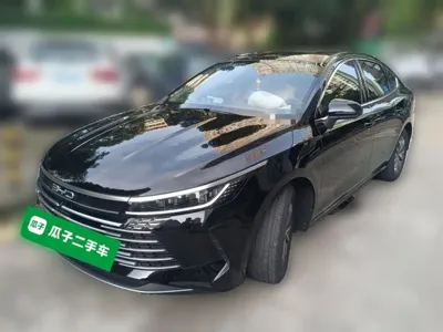 BYD Destroyer 05 · 2024 год