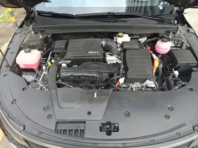 BYD Destroyer 05 2024, 9500 км, за 7453.71 USD - фото 16