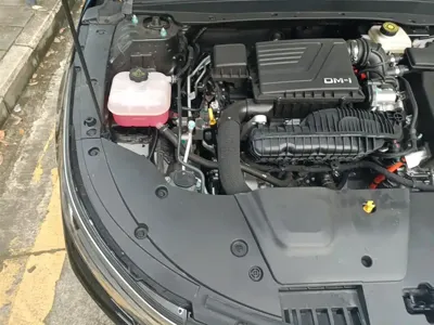 BYD Destroyer 05 2024, 9500 км, за 7453.71 USD - фото 22