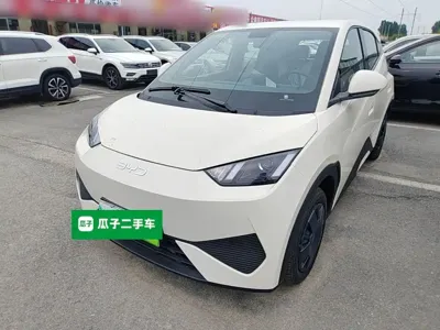 BYD Seagull 2026, 100 км, за 8489.98 USD