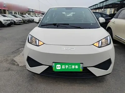 BYD Seagull 2026, 100 км, за 8489.98 USD