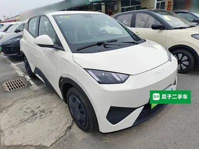 BYD Seagull 2026, 100 км, за 8489.98 USD