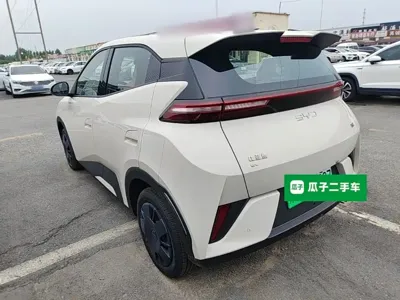 BYD Seagull 2026, 100 км, за 8489.98 USD
