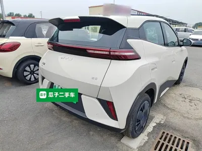 BYD Seagull 2026, 100 км, за 8489.98 USD - фото 7