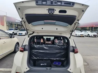 BYD Seagull 2026, 100 км, за 8489.98 USD - фото 19