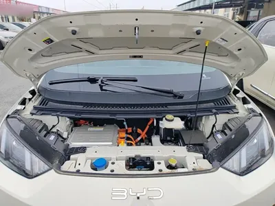 BYD Seagull 2026, 100 км, за 8489.98 USD - фото 20
