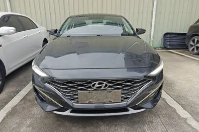 Hyundai Lafesta 2019, 76000 км, за 9192 USD