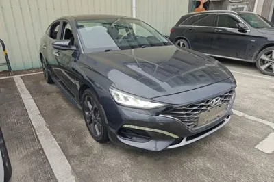 Hyundai Lafesta 2019, 76000 км, за 9192 USD