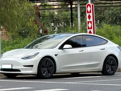Tesla Model 3 · 2021 год
