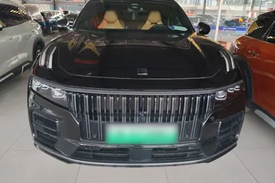 Lynk & Co 09 EM-P 2021, 80500 км, за 24139 USD