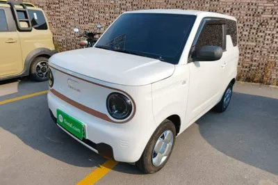 Geely Galaxy Panda · 2024 год