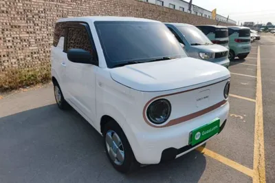 Geely Galaxy Panda 2024, 28900 км, за 6806 USD