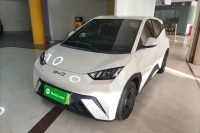 BYD Seagull · 2025 год