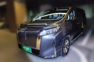 WEY Gaoshan · 2025 год