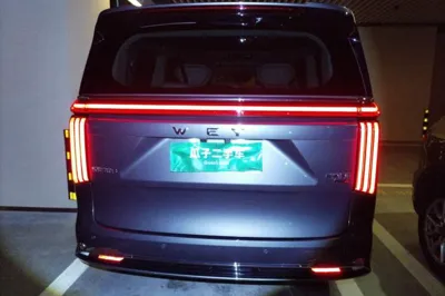 WEY Gaoshan 2025, 2500 км, за 41439 USD