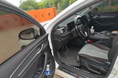 BYD Destroyer 05 2024, 63900 км, за 9609 USD - фото 16