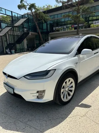 Tesla Model X · 2020 год