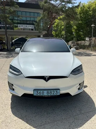 Tesla Model X 2020, 120000 км, за 46905.56 USD