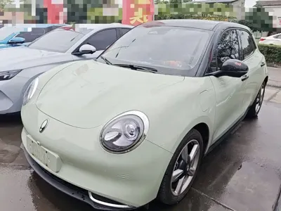 ORA Ora Good Cat 2024, 36000 км, за 10270.12 USD