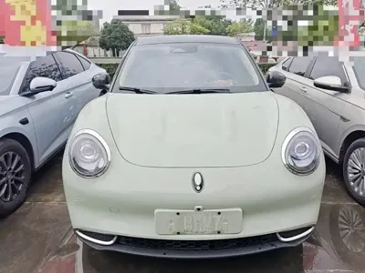 ORA Ora Good Cat 2024, 36000 км, за 10270.12 USD