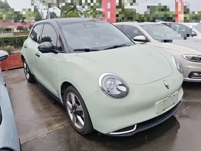ORA Ora Good Cat 2024, 36000 км, за 10270.12 USD