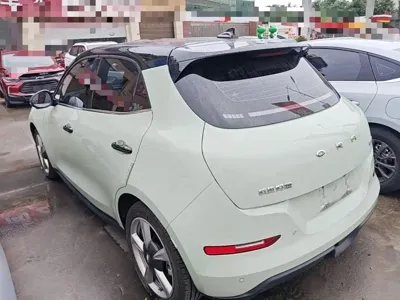 ORA Ora Good Cat 2024, 36000 км, за 10270.12 USD