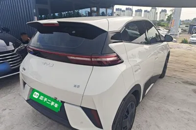 BYD Seagull 2025, 14500 км, за 10240 USD - фото 6