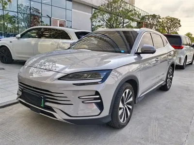 BYD PLUS New Energy · 2024 год