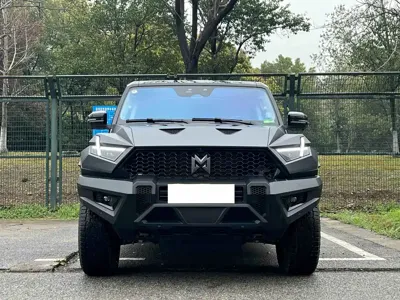 Mengshi Mengshi 917 2025, 20000 км, за 46467.61 USD