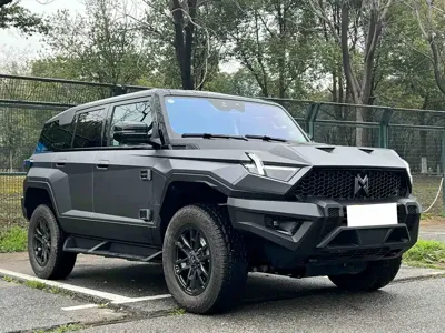 Mengshi Mengshi 917 2025, 20000 км, за 46467.61 USD