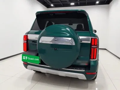 Tank Tank 500 New Energy 2025, 4700 км, за 46850.03 USD