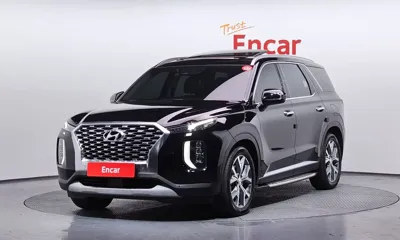 Hyundai Palisade · 2020 год