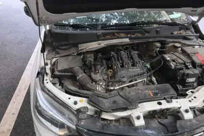 Chevrolet Cavalier 2020, 70800 км, за 3909 USD - фото 23