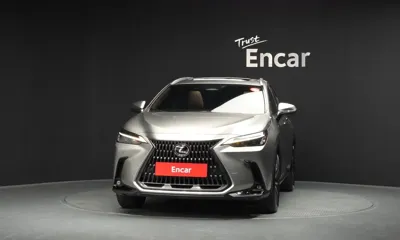 Lexus NX 2024, 80065 км, за 33827.77 USD