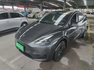 Tesla Model Y · 2024 год