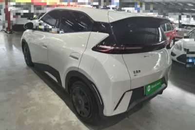 BYD Seagull 2023, 18200 км, за 9006 USD