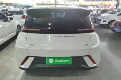 BYD Seagull 2023, 18200 км, за 9006 USD